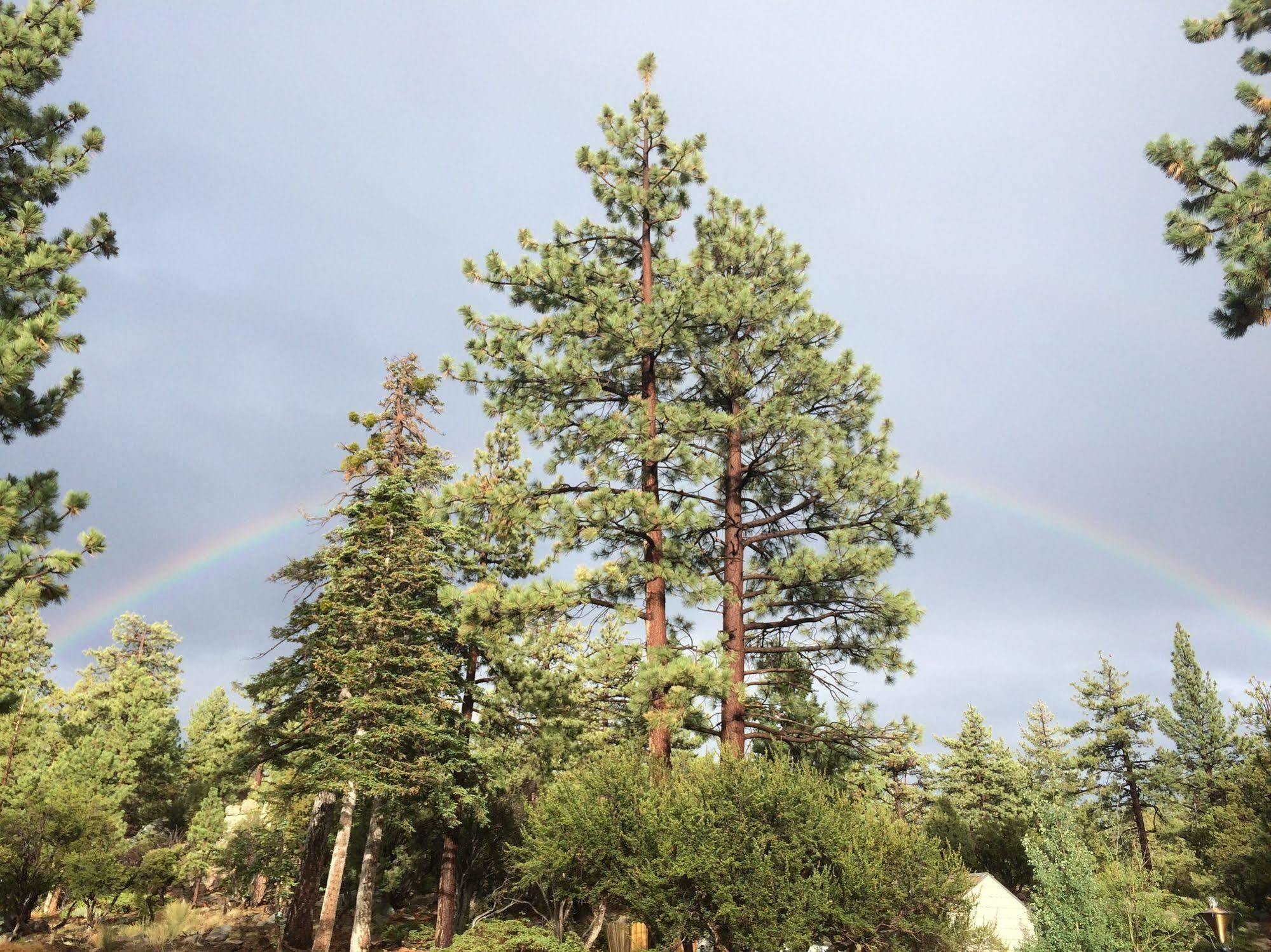 Cienaga Creek Ranch Vila Big Bear Lake Exterior foto
