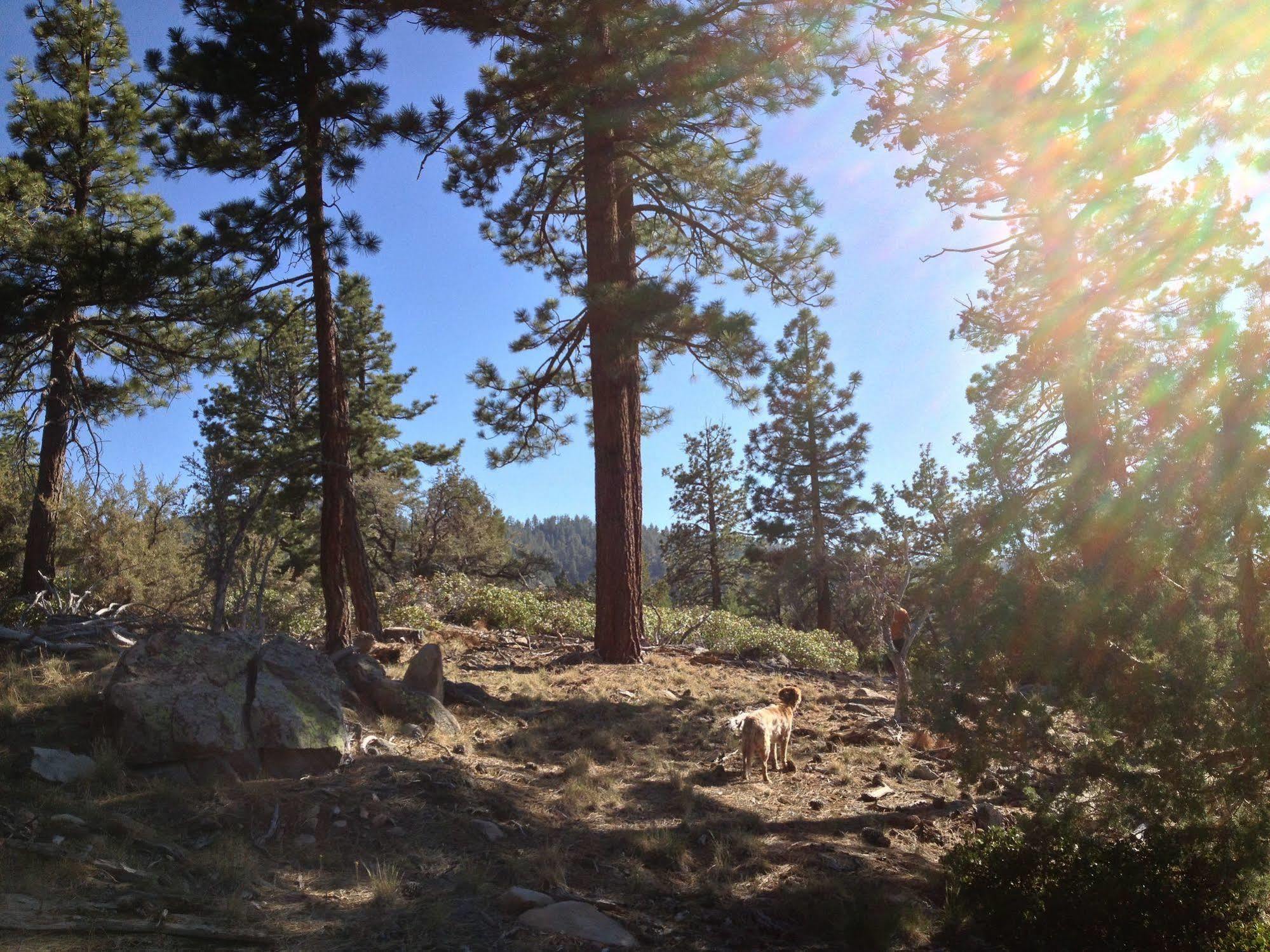 Cienaga Creek Ranch Vila Big Bear Lake Exterior foto